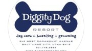 Diggity Dog Resort