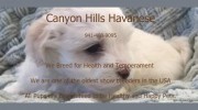 Canyon Hills Havanese & Coton's